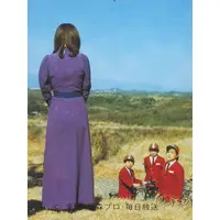 Trading Card - Kamen Rider V3