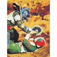 Trading Card - Kamen Rider V3 / Kamen Rider V3 (Character)