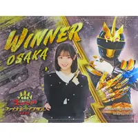 Tapestry - No.1 Sentai Gozyuger / GozyuUnicorn