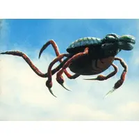 Trading Card - Ultraman Leo