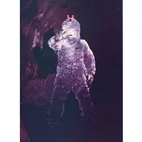 Trading Card - Ultraseven / Alien Wild