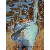 Trading Card - Kamen Rider