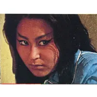 Trading Card (713：吸血狼人間)
