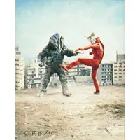 Trading Card - Ultraman Leo
