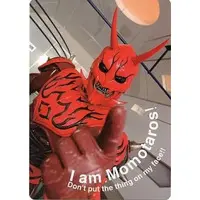 Plastic Sheet - Stationery - Kamen Rider Den-O / Momotaros