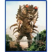 Trading Card (NO.144：ザニカ)