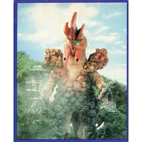 Trading Card (NO.153：コオクス)