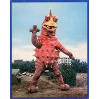 Trading Card (NO.192：タイショー)