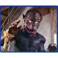 Trading Card (NO.213：ミイラ人間)