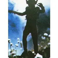Trading Card - Ultraman Leo