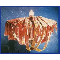 Trading Card (NO.193：シルバーブルーメ)