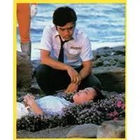 Trading Card - Ultraman 80