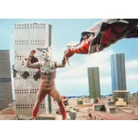 Trading Card - Ultraman Leo