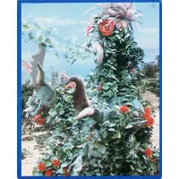 Trading Card - Ultraman Taro
