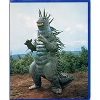 Trading Card (NO.28：モグネズン)