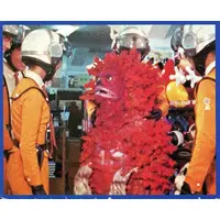 Trading Card (NO.214：ピグモン)