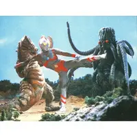 Trading Card - Ultraman 80