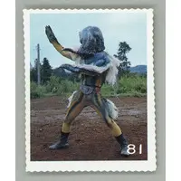 Trading Card (81：ドクルイノシシ)