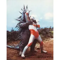 Trading Card (282：毒ガス怪獣モグネズン)