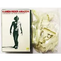 Figure - Kamen Rider Amazon