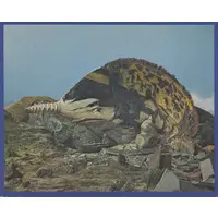 Trading Card - Ultraman / Gubila